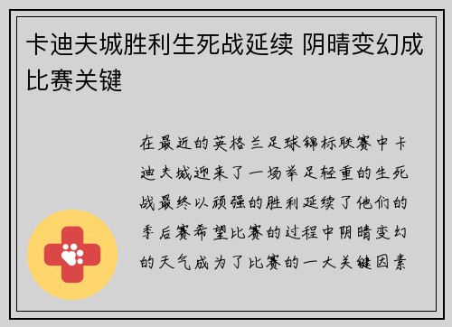 卡迪夫城胜利生死战延续 阴晴变幻成比赛关键