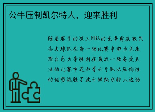 公牛压制凯尔特人，迎来胜利