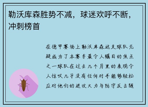 勒沃库森胜势不减，球迷欢呼不断，冲刺榜首