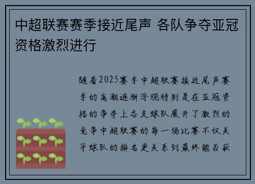 中超联赛赛季接近尾声 各队争夺亚冠资格激烈进行