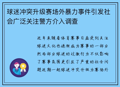 球迷冲突升级赛场外暴力事件引发社会广泛关注警方介入调查